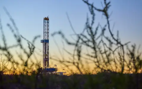 Vaca Muerta impulsa la actividad del sector