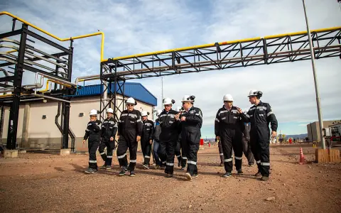 Pluspetrol makes strong progress in Vaca Muerta