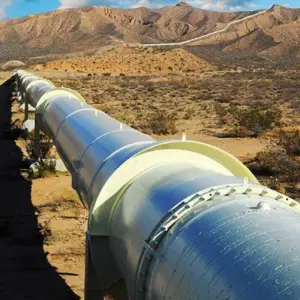 Argentina LNG: TGN y TGS miran con interés el proyecto del gasoducto entre Vaca Muerta y el Golfo San Matías