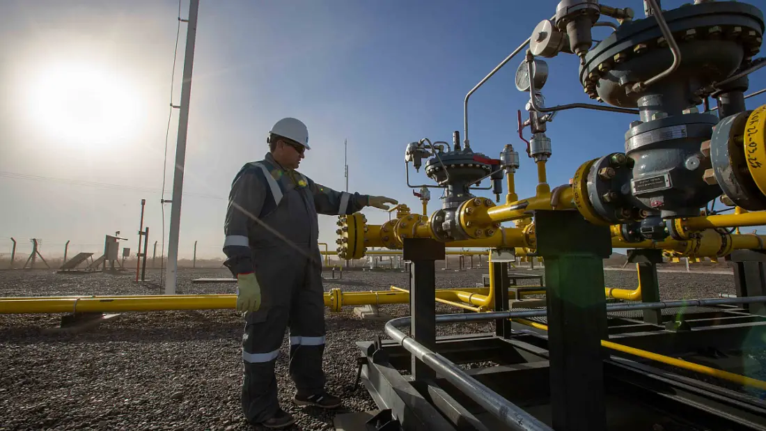 Vaca Muerta tiene una muy buena calidad de shale gas.