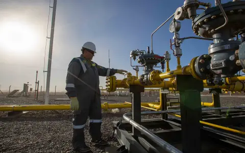 Vaca Muerta tiene una muy buena calidad de shale gas.