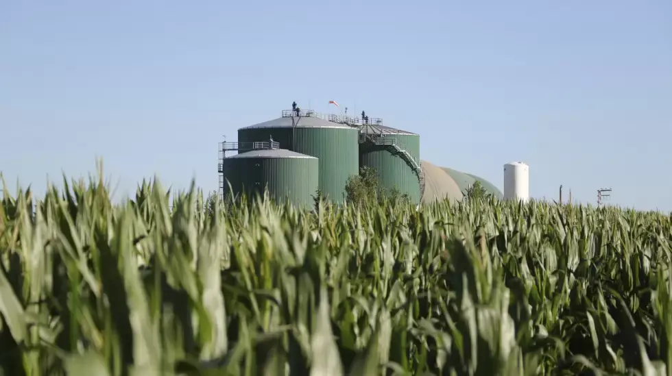SMEs in the biofuels sector are experiencing pressure from rising costs