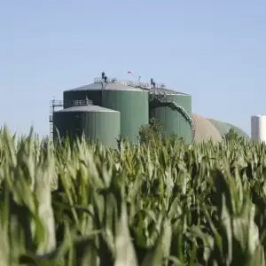 Biodiesel: por aumento de costos en operadoras, el Gobierno autorizó un incremento del 5,4% 