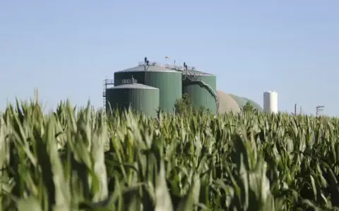 SMEs in the biofuels sector are experiencing pressure from rising costs
