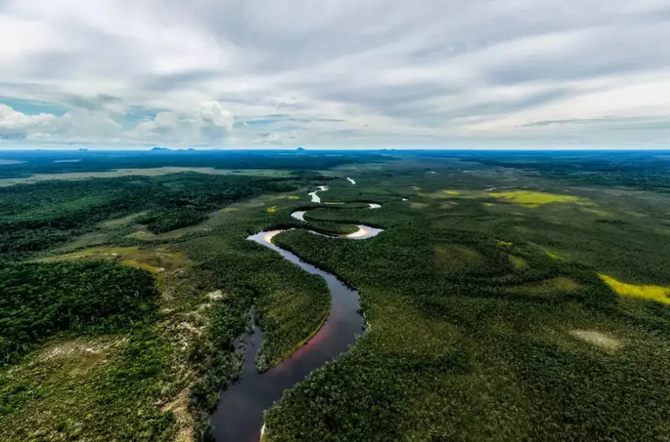 La CAF apunta convertirse en el banco verde de América Latina y el Caribe