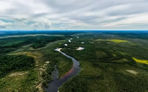 La CAF apunta convertirse en el banco verde de América Latina y el Caribe
