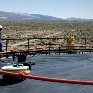 Análisis: Vaca Muerta y un balance del 2025