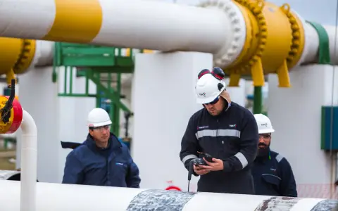 TGN distribuirá los dividendos que había previsionado