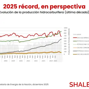 Shale "superstar": de 538 a 1.075 pozos, el boom de perforaciones que reconfiguró el mapa energético argentino