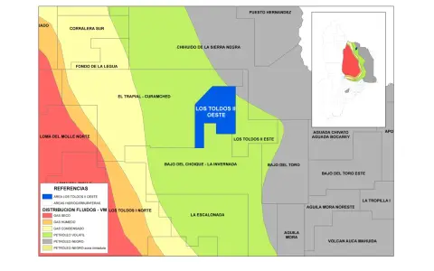 The Los Toldos II Oeste block is located in the northern part of the Neuquén Basin, near the town of Rincón de los Sauces.