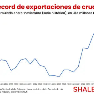 Gracias a Vaca Muerta, en 2025, siete de cada diez dólares del superávit comercial los aportó la balanza energética