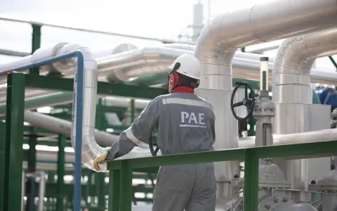 Los analistas bursátiles ven a Pan American Energy bien posicionada para capturar el crecimiento de Vaca Muerta en un entorno financiero más exigente