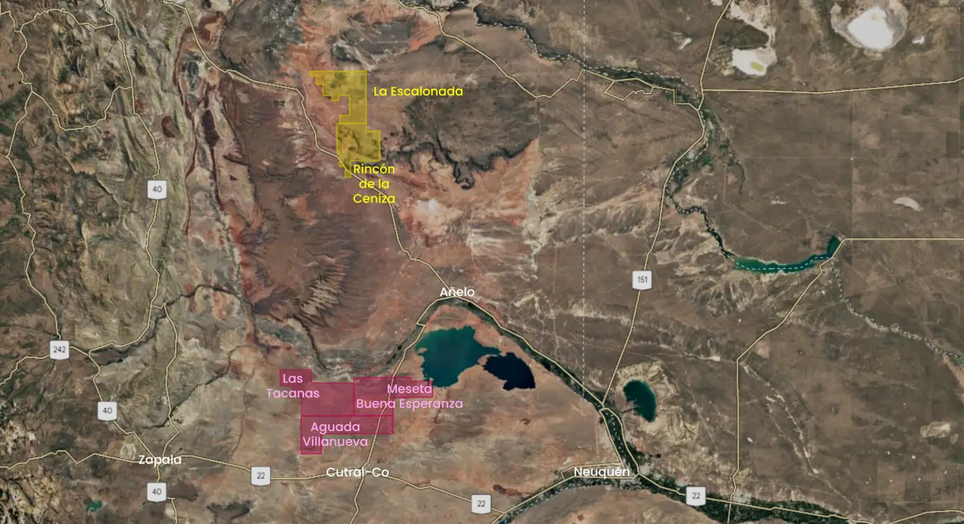 En fucsia, las áreas sobre las que YPF ganó control exclusivo.