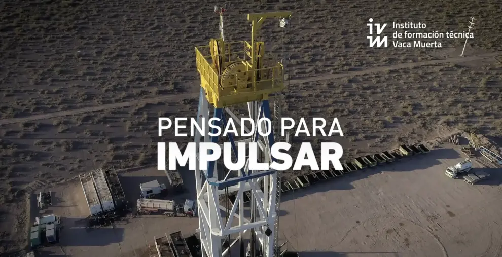 Instituto Vaca Muerta