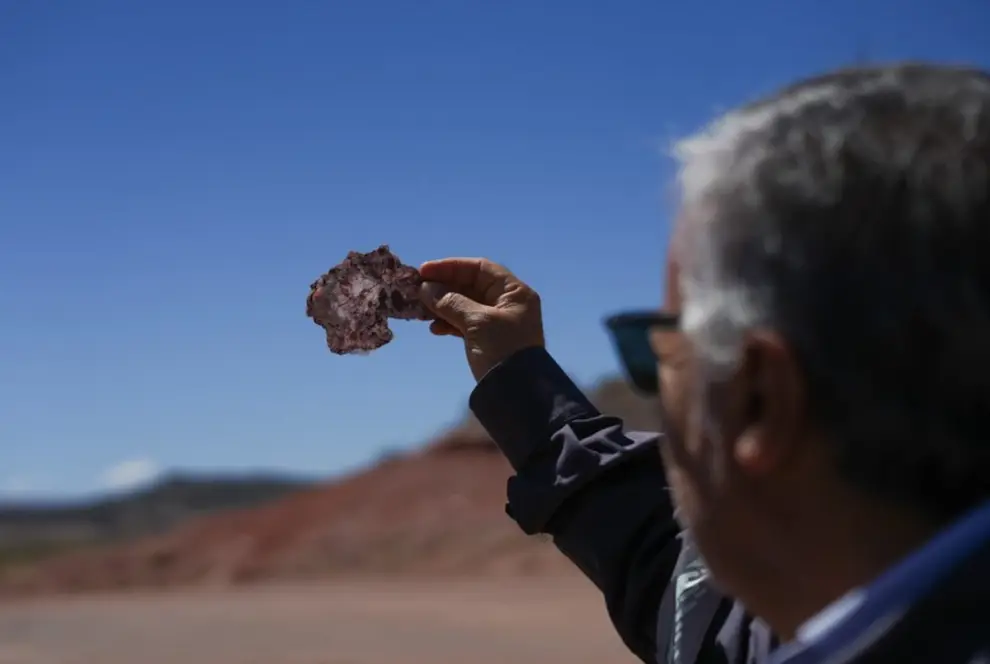 La compañía formó una UTE con TSB en Mendoza.
