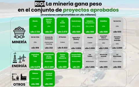 Half of the projects that have received approval to join the Large Investment Incentive Regime (RIGI) are mining projects.