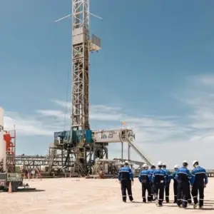 Río Negro marca un hito en Vaca Muerta: Phoenix tuvo el pozo más productivo de enero