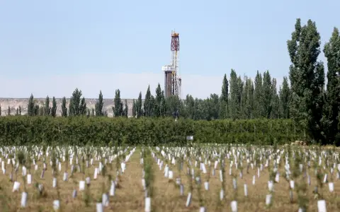 "En no convencional un buen pozo no define un play. La clave siempre es la repetitividad", remarcó Gerardo Tennerini.