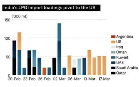 En los primeros tres meses de 2026, Argentina embarcó 50.000 toneladas de gas licuado de petróleo (GLP) con destino a India