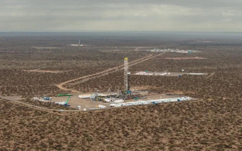 The two acquired blocks — Loma Jarillosa Este and Puesto Silva Oeste — cover more than 12,300 gross acres in Vaca Muerta's oil window