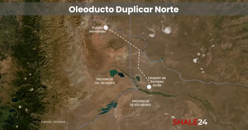 Duplicar norte