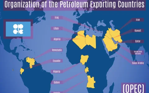La Organización de Países Exportadores de Petróleo y sus aliados (OPEC+) acordó el domingo en principio aumentar sus cuotas de producción