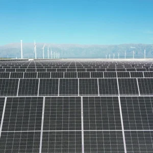 PEA Energía avanza en su proyecto híbrido: ya finalizó el montaje mecánico del Parque Solar Arauco I