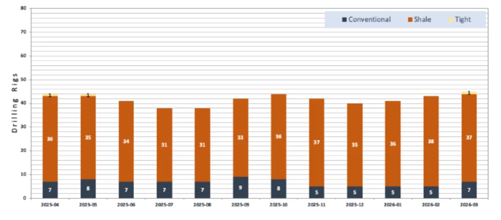 Número de RIGS marzo