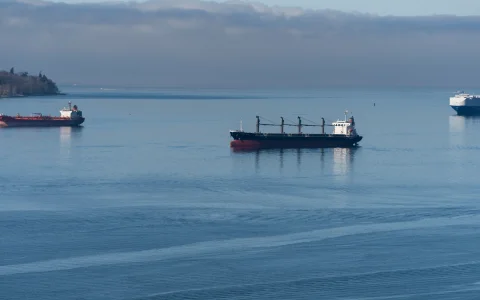 El Brent cotiza a u$s 96,94 después de que el sábado más de 20 buques cruzaran Ormuz