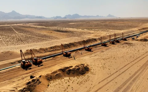 Sicim S.p.A. nació en 1962 en Busseto, en el norte italiano, fundada por la familia Riccardi