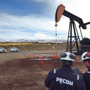 Pecom completa la compra de El Corcobo: le pagará u$s 205 millones a YPF por las participaciones que le faltaban en Malargüe y La Pampa