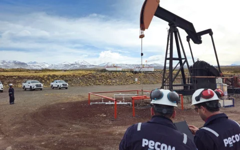 PECOM suma Manantiales Behr (ex-YPF) y el 57% de El Corcobo (ex-Pluspetrol), y se encamina a los 50.000 bbl/d operados.