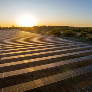 Parque Solar de Gral. Pico: Genneia, SAS Energía, Coral y Everyray LATAM S.A. muestran interés por la segunda etapa
