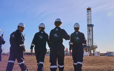 Vista Energy