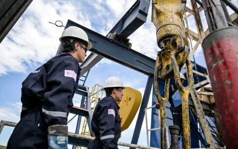 La superficie habilitada para el desarrollo shale supera los 148.300 acres y se localiza en la ventana de petróleo (oil window) de Vaca Muerta