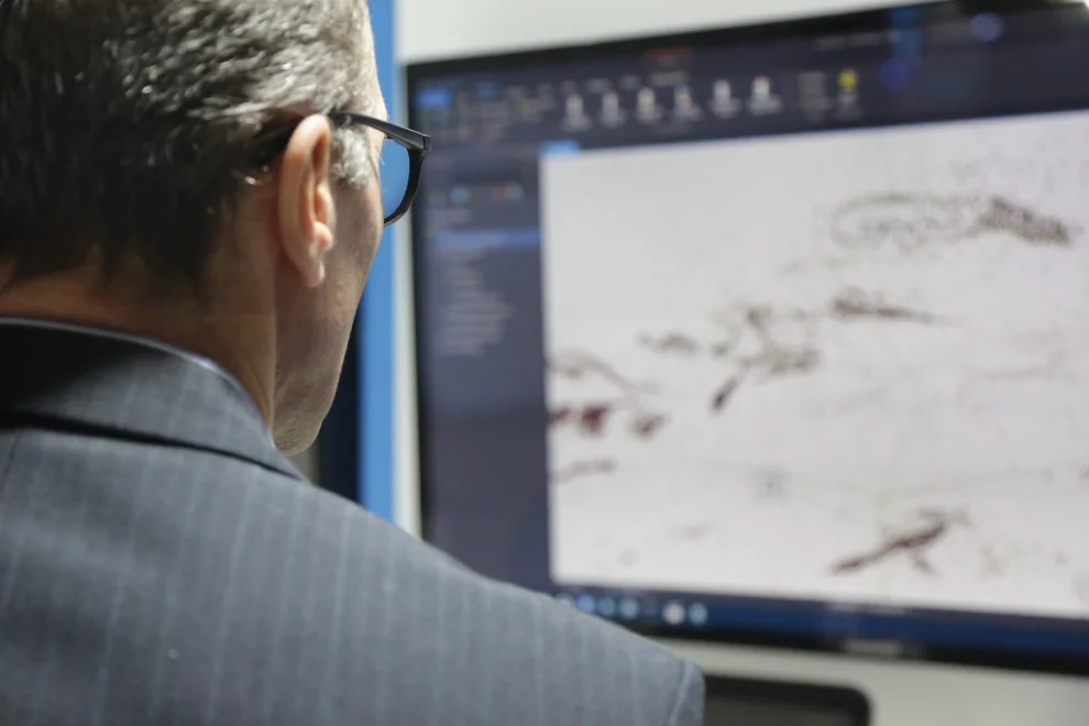 aeroterra esri arcgis mapas