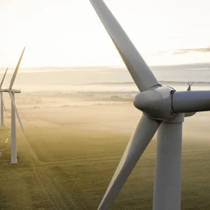 Central Puerto ofertó 1.220 MW sumando los 620 MW que presentó bajo su propio nombre y los 600 MW de Puerto La Genoveva, su vehículo de e. renovables
