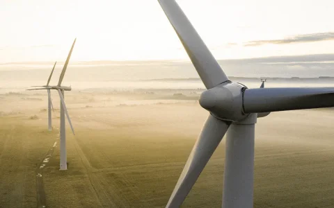 Central Puerto ofertó 1.220 MW sumando los 620 MW que presentó bajo su propio nombre y los 600 MW de Puerto La Genoveva, su vehículo de e. renovables