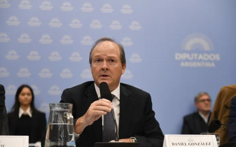 El secretario de Coordinación de Energía y Minería Daniel González expuso ante el plenario de comisiones el proyecto que sucede al RIGI