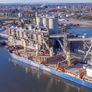 TGS estructura el Proyecto NGLs en dos sociedades RIGI: PGS toma Neuquén por u$s1.100 millones y MGS, Bahía Blanca por u$s1.900 millones