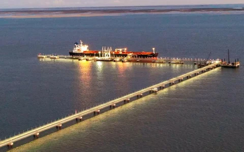 La posición 27090010 de la Nomenclatura Común del Mercosur (NCM), correspondiente a los aceites crudos de petróleo, concentró el 12,3% de las ventas 