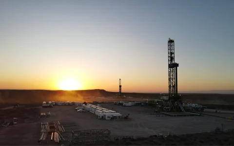 Las áreas que Vista conduce de manera directa, encabezadas por Bajada del Palo Oeste y Bajada del Palo Este, aportaron 82.192 boe/d