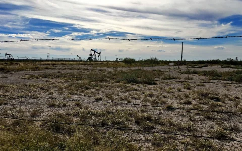 El adjudicatario deberá analizar el marco estructural, la geoquímica (Carbono Orgánico Total y madurez térmica), la petrofísica y las propiedades 