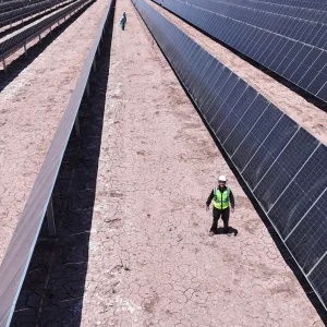 DQD Energy, el ganador inesperado de AlmaSADI: el constructor solar que se hizo dueño de las baterías del Chaco y se quedó con ocho proyectos