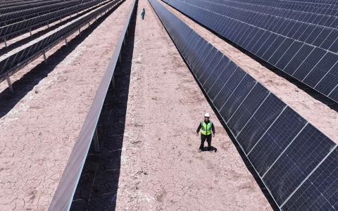 En ocho años pasó de contratista emergente a una de las mayores constructoras de parques solares, con más de 1.200 MWp ejecutados bajo el modo EPC