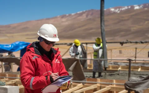 La inversión ronda los u$s 1.200 millones y la propuesta seleccionada resultó 15% más barata que la segunda mejor oferta, la de la UTE SACDE-Techint