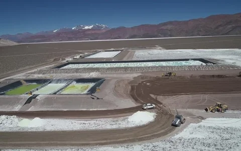 El expediente incorpora, además de la planta, pozos de extracción de salmuera, ductos de transporte, sistemas de purificación, caminos y tuberías