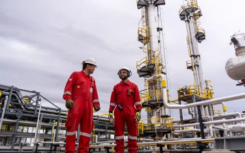 El aumento del último mes fue de 11.693 barriles diarios, Pluspetrol aportó 13.817 y Shell Argentina unos 8.839