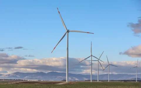 La etapa incorporó seis aerogeneradores Vestas de 6,2 MW de potencia unitaria y agregó 37,2 MW, con lo que el conjunto alcanzó 276,6 MW de potencia 