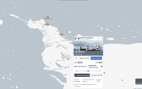 El White Marlin, un buque de carga pesada , figura en el registro AIS esta mañana frente a Bahía Blanca